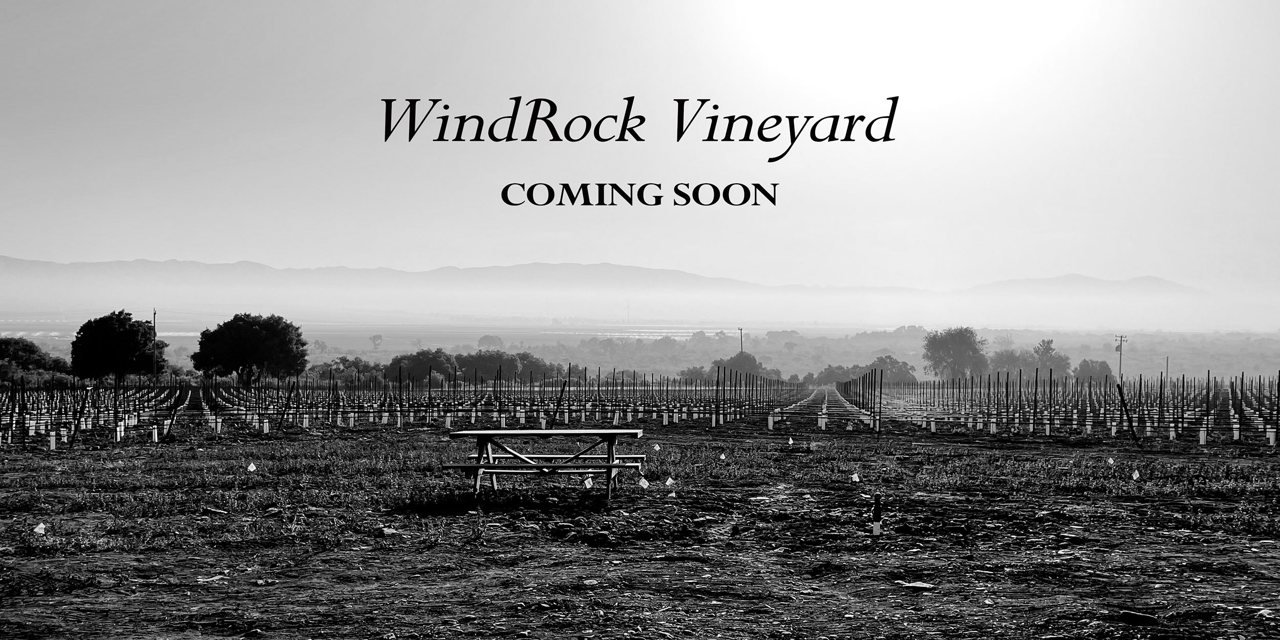 WindRock Vineyard - Coming Soon